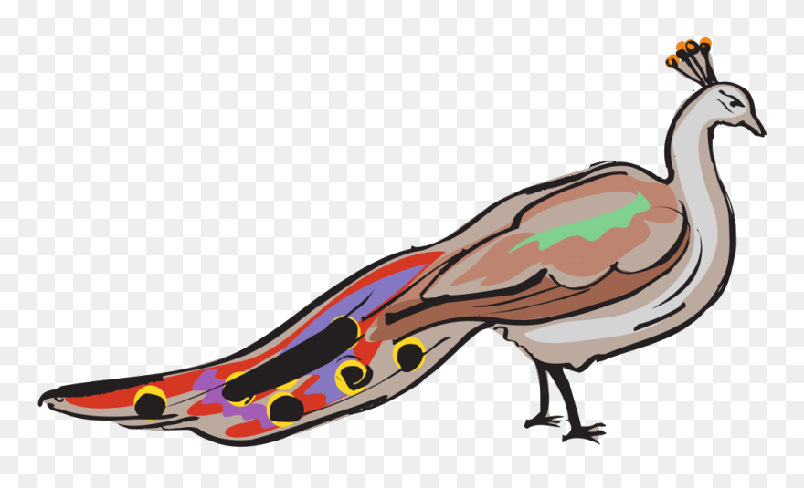 Colorful Peacock Svg Clip Arts - Peafowl - Png Download