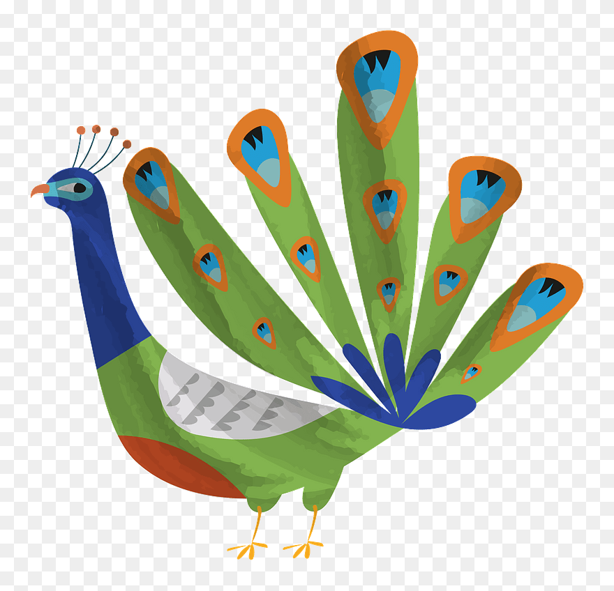 Peacock Clipart - Png Download
