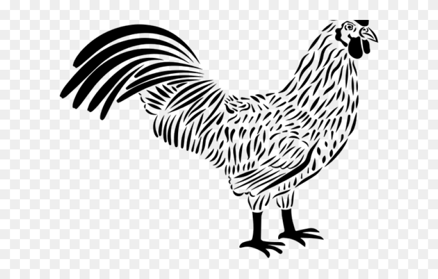 Rooster Clipart Vector Black - Chicken Vector Png A3 Transparent Png