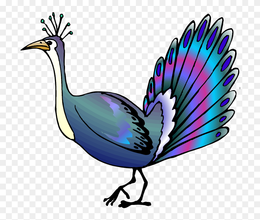 Peacock Clipart Female Peacock - St Davids Day Funny Cards - Png Download