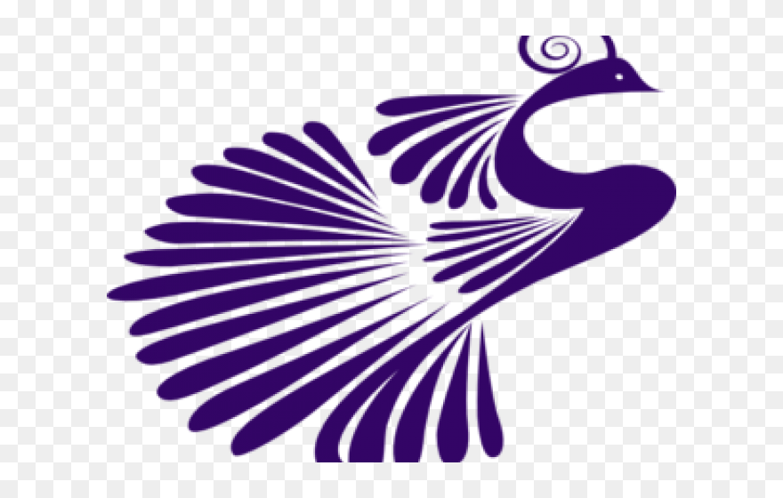 Peacock Clipart Purple - Peacock Clipart Png Black And White Transparent Png