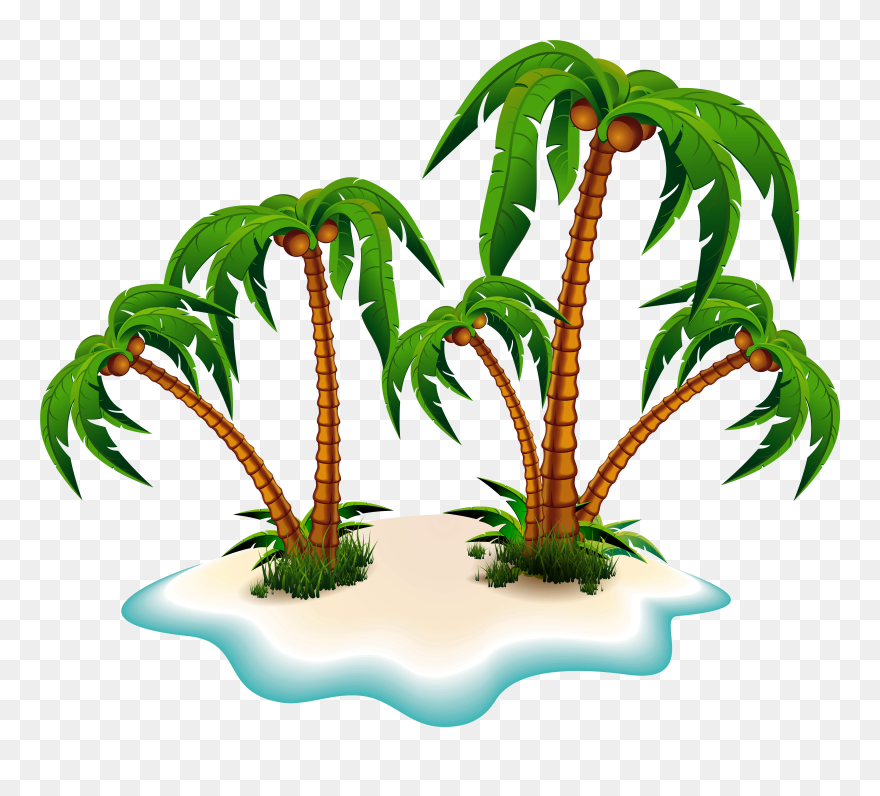 Peacock Clipart Transparent Background - Palm Tree Clipart Png