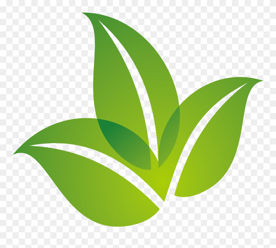Logo Design Leaf Green Spring Free Transparent Image - Transparent Background Leaves Logo Transparent Clipart