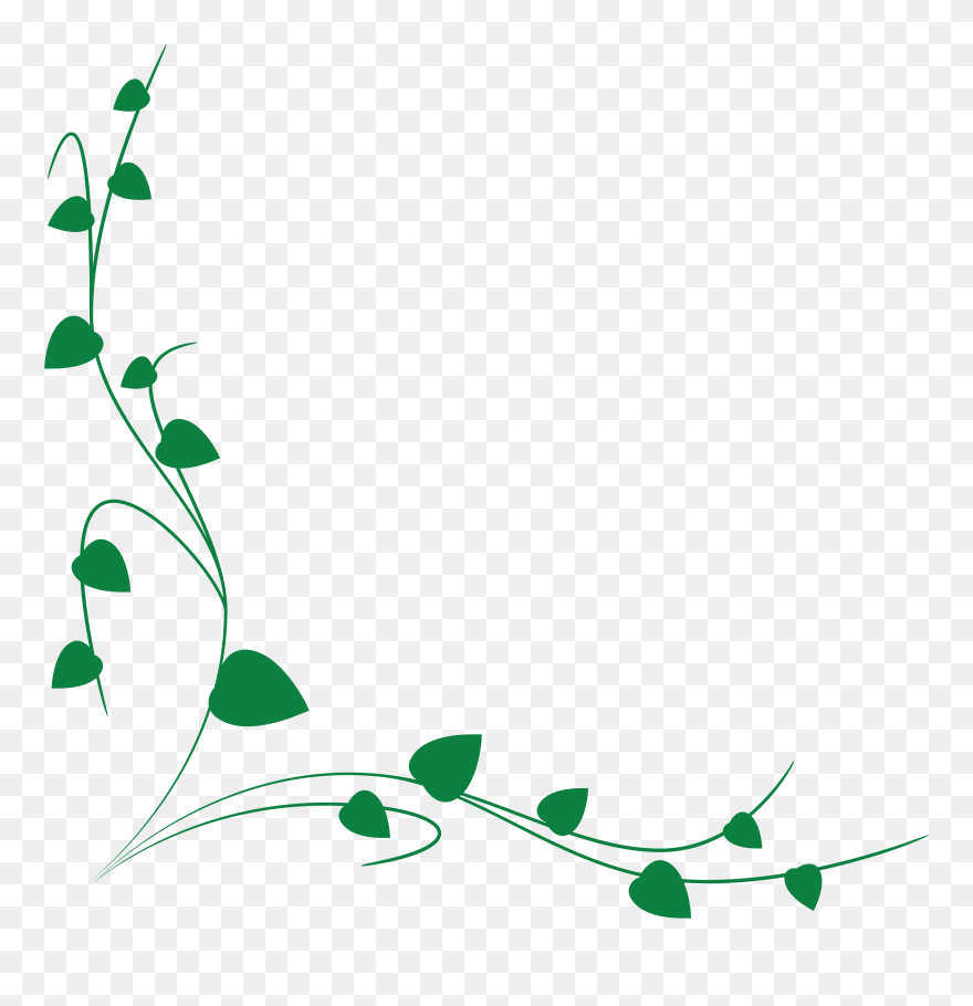 Vine Art Drawing Clip - Clip Art Vine Border - Png Download