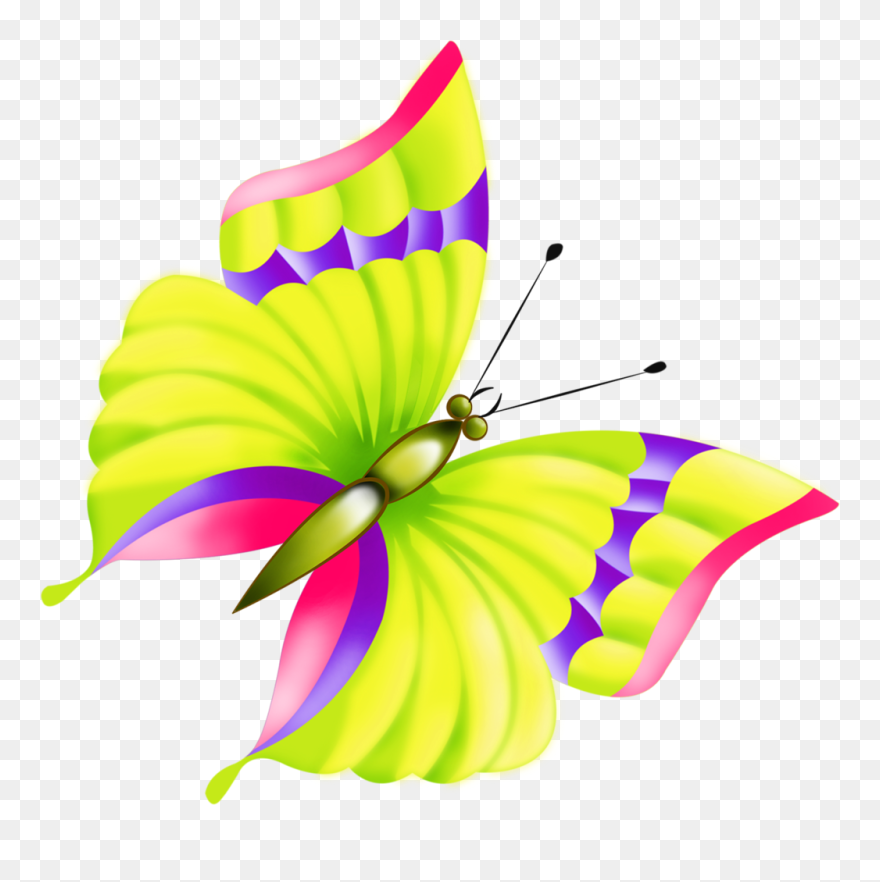 Анимашки Бабочки Картинки З Метелики Анимации Clipart