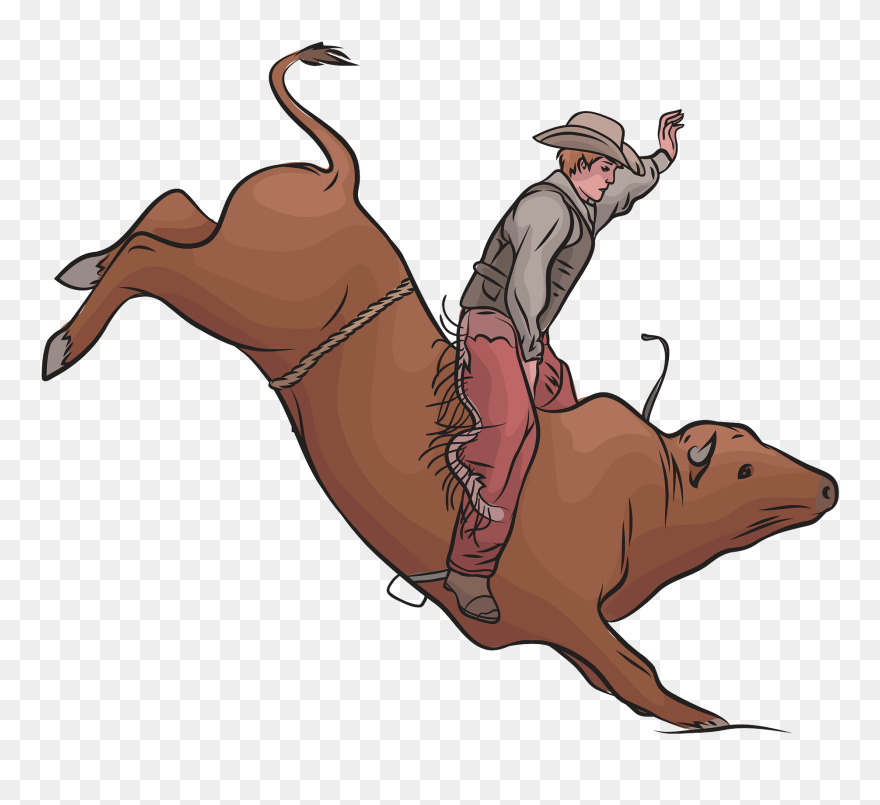 Bull Clipart