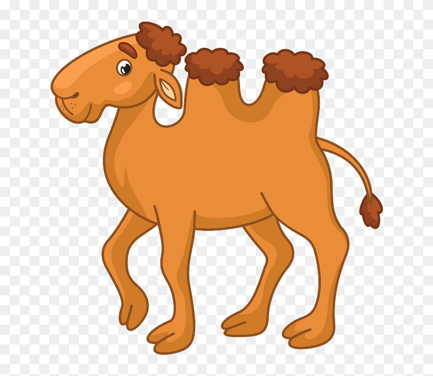 Free Camel Cliparts, Download Free Clip Art, Free Clip - Clip Art Camel - Png Download