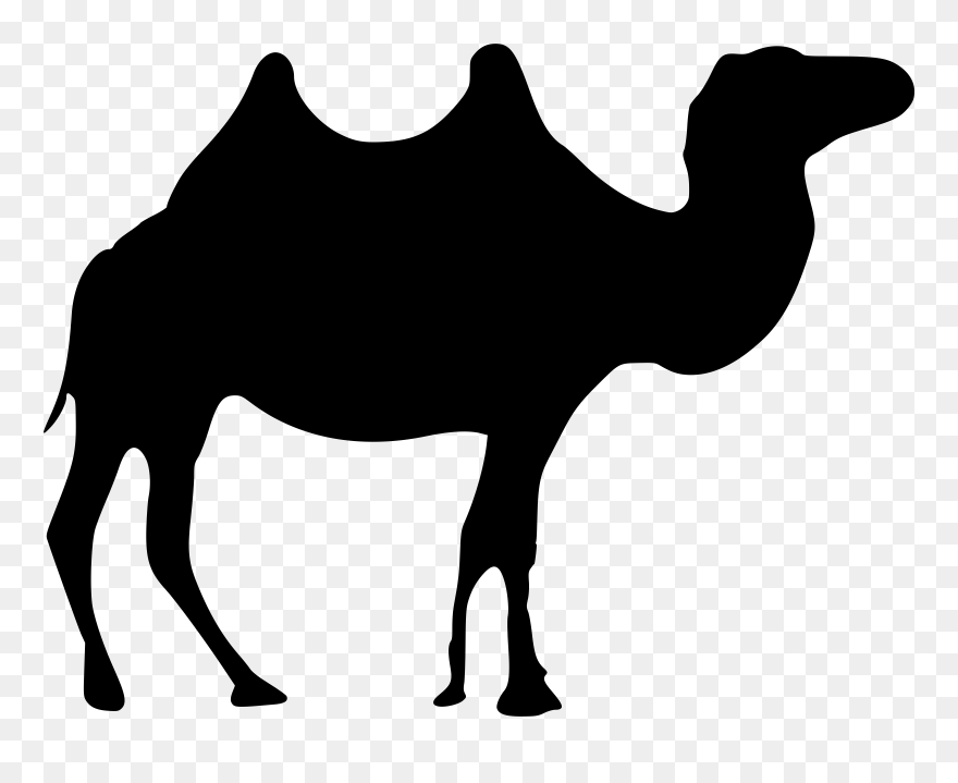 Black Camel Clipart Png Transparent Png