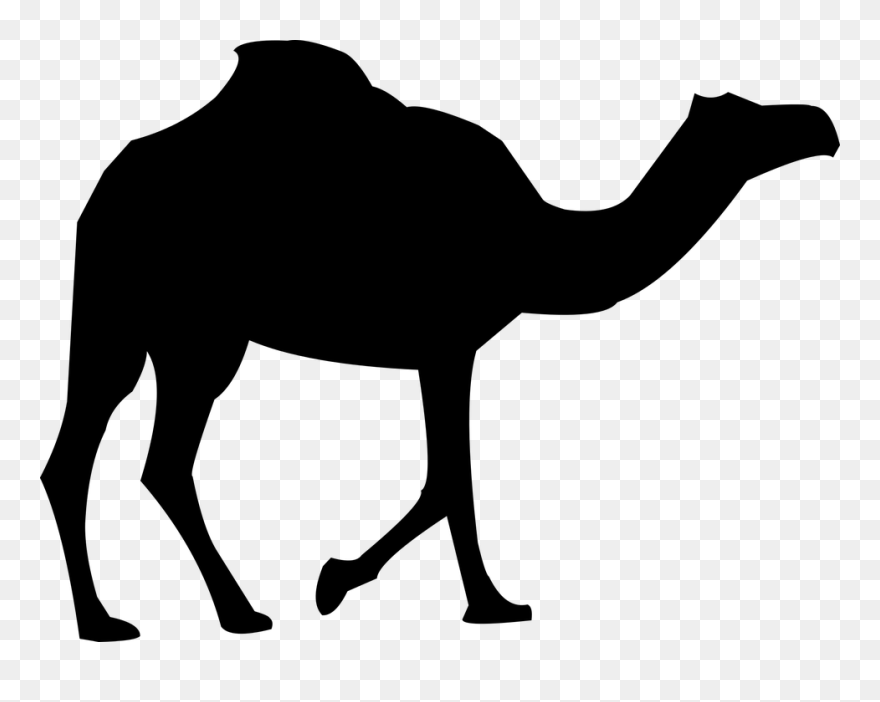 Camel Clipart Kabubi - Clipart Transparent Camel Png