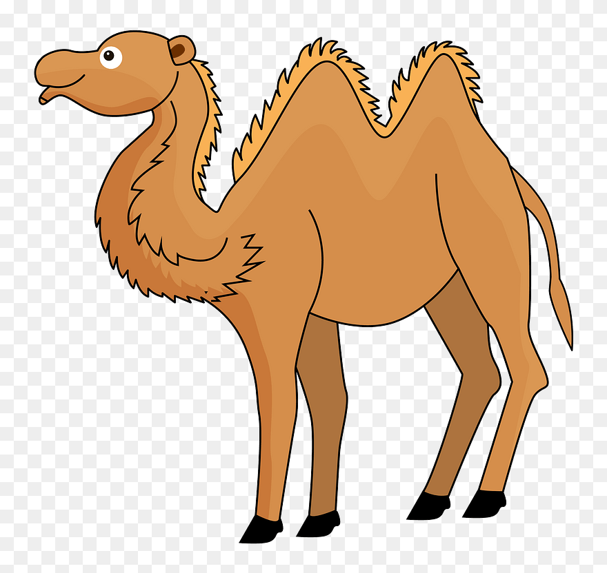 Camel Clipart - Png Download