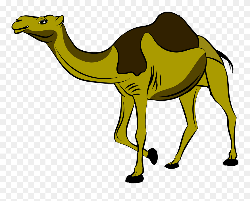 Kartun Unta Clipart