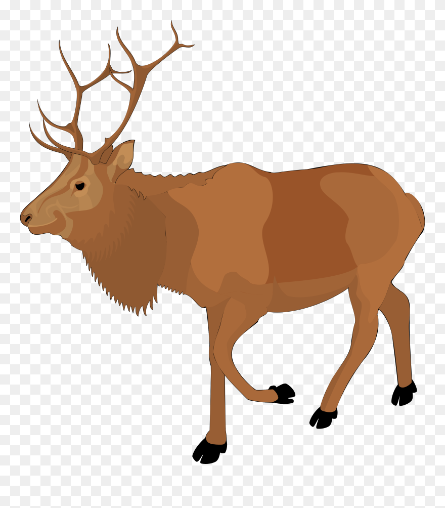 Clip Art Reindeer Clipart - Elk Clipart - Png Download