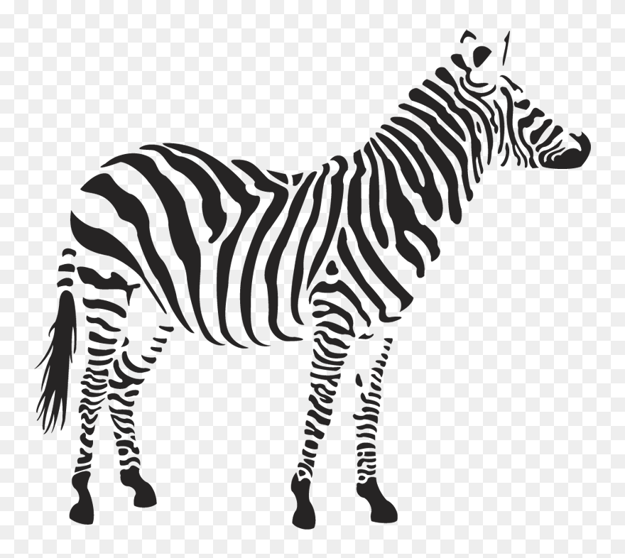 Transparent Zebra Clip Art - Zebra Clipart Png