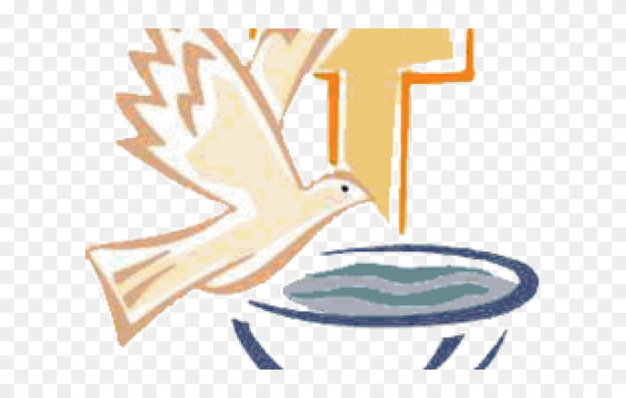 Catholic Baptism In Church Png Clipart