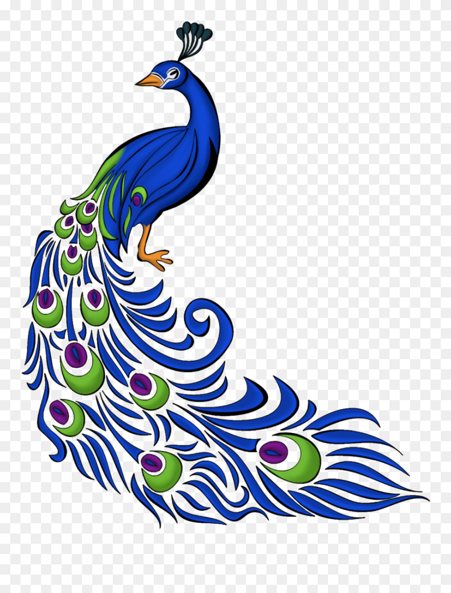 Peacock Drawing Images With Colour Clipart