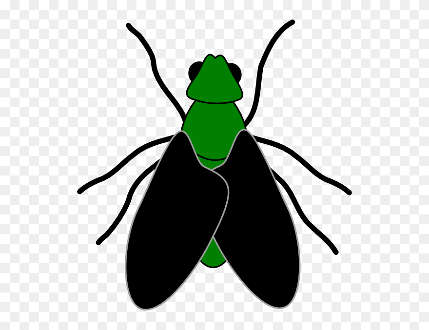 Bugs Clipart Transparent Background - Transparent Flies Clip Art - Png Download