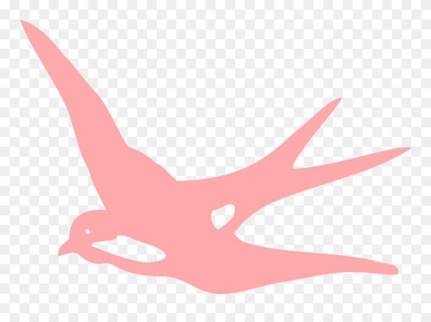 Pink Swallow Clipart