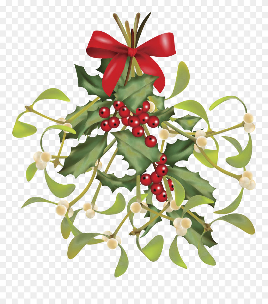 Mistletoe Png File - Mistletoe Clipart Transparent Background