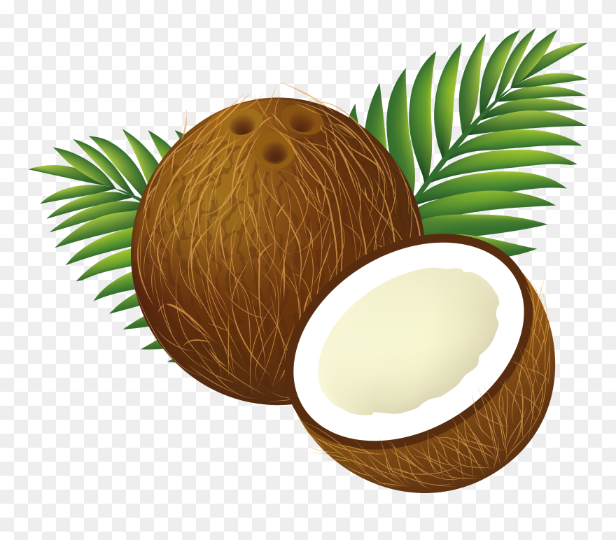 Coconut Water Coconut Milk Clip Art - Transparent Background Coconut Clipart - Png Download