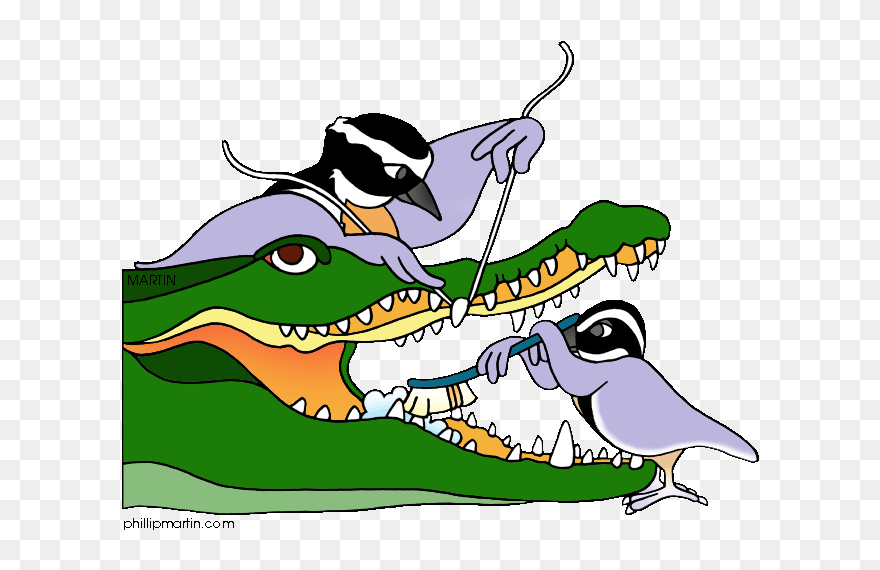 Free Sea Anemone Clipart Commensalism, Download Free - Commensalism Clipart - Png Download