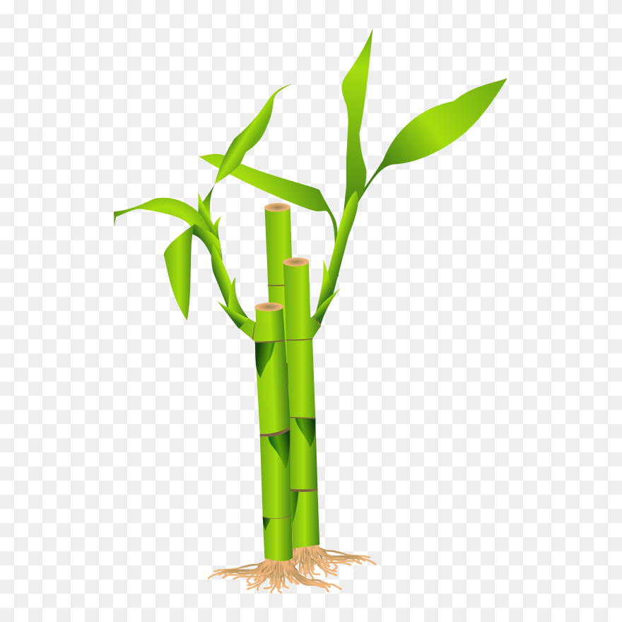 Bamboo Clipart - Png Download