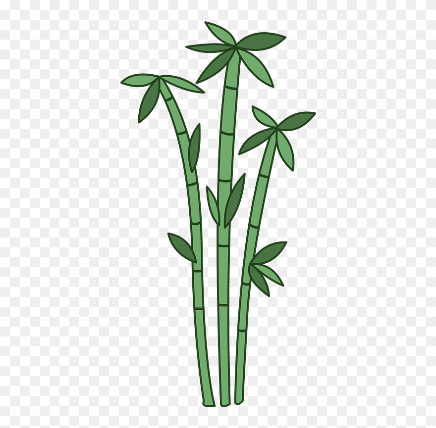 Bamboo Clipart - Long Bamboo Clipart - Png Download