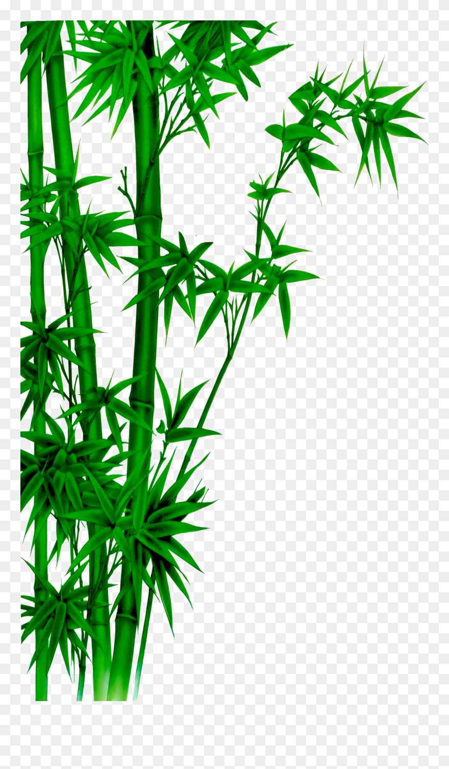 Poster Bamboo Wash Painting Ink Free Hq Image Clipart - Poster Bambu - Png Download