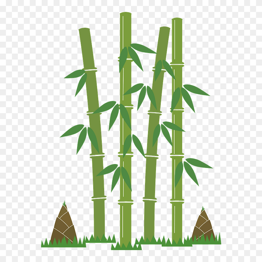 Bamboo Shoot Clipart - Gambar Animasi Pohon Bambu - Png Download
