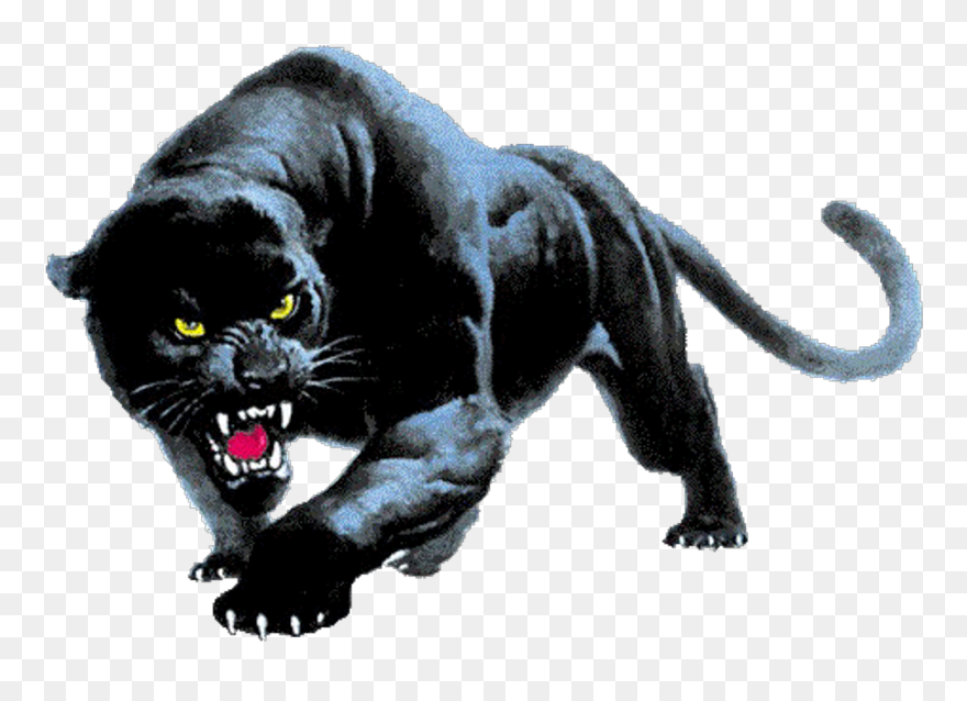 Panther Desktop Wallpaper Clip Art - Devon Meadows Football Club - Png Download