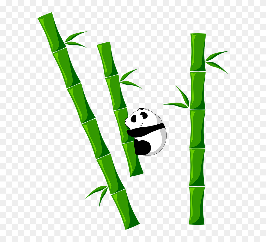 Bamboo Png - Clipart Bamboo With Panda Transparent Png