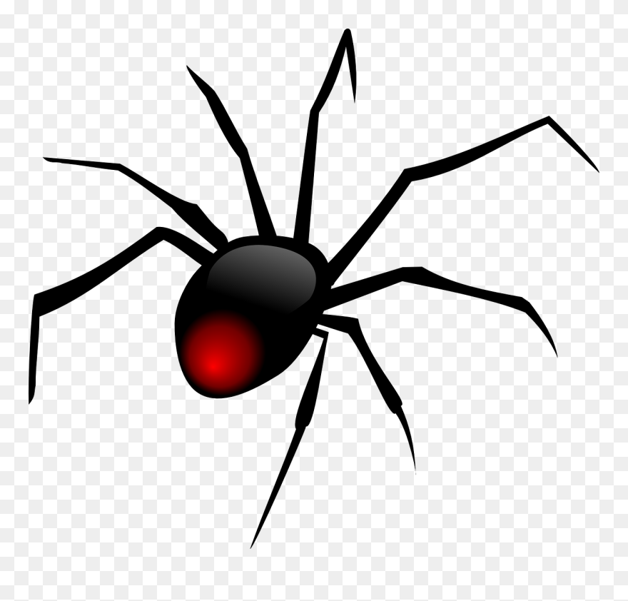 Redback Spider Clip Art - Spider Clipart Png Transparent Png