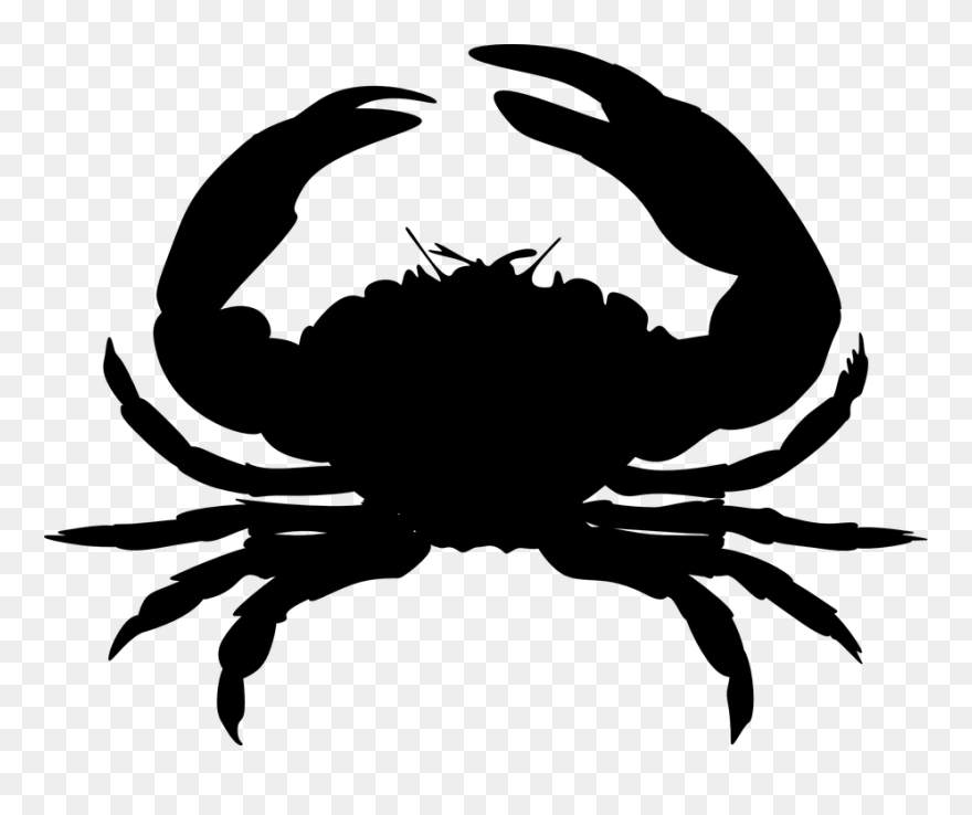 Crab Cake Clip Art - Black Crab Clip Art - Png Download