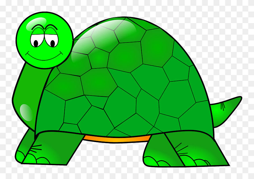 Cartoon Turtle Clipart - Turtle Clip Art - Png Download