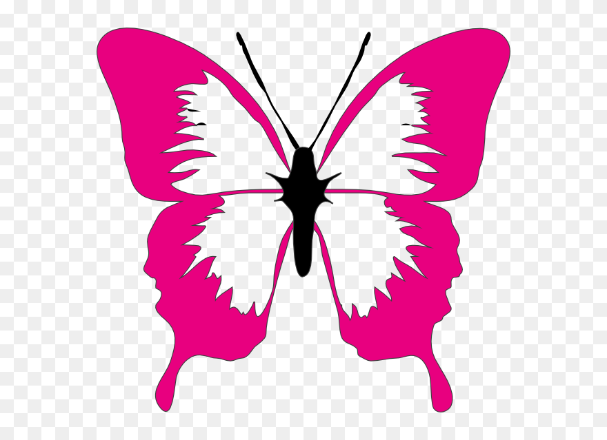 Butterfly Clipart - Colorful Butterflies Clip Art - Png Download