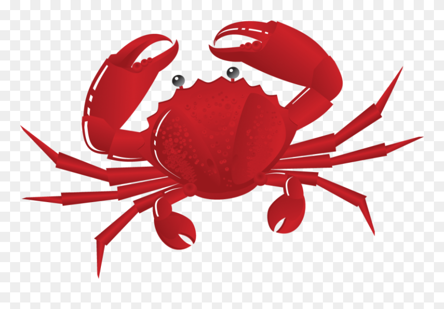 Crab Clipart Png Transparent Png