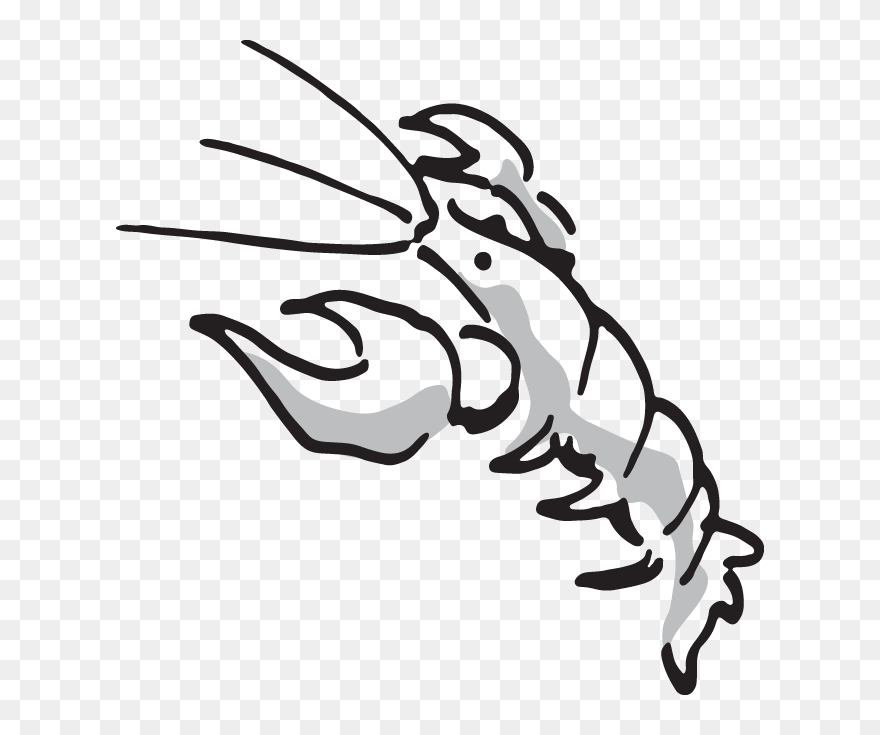 Clip Art - Png Download
