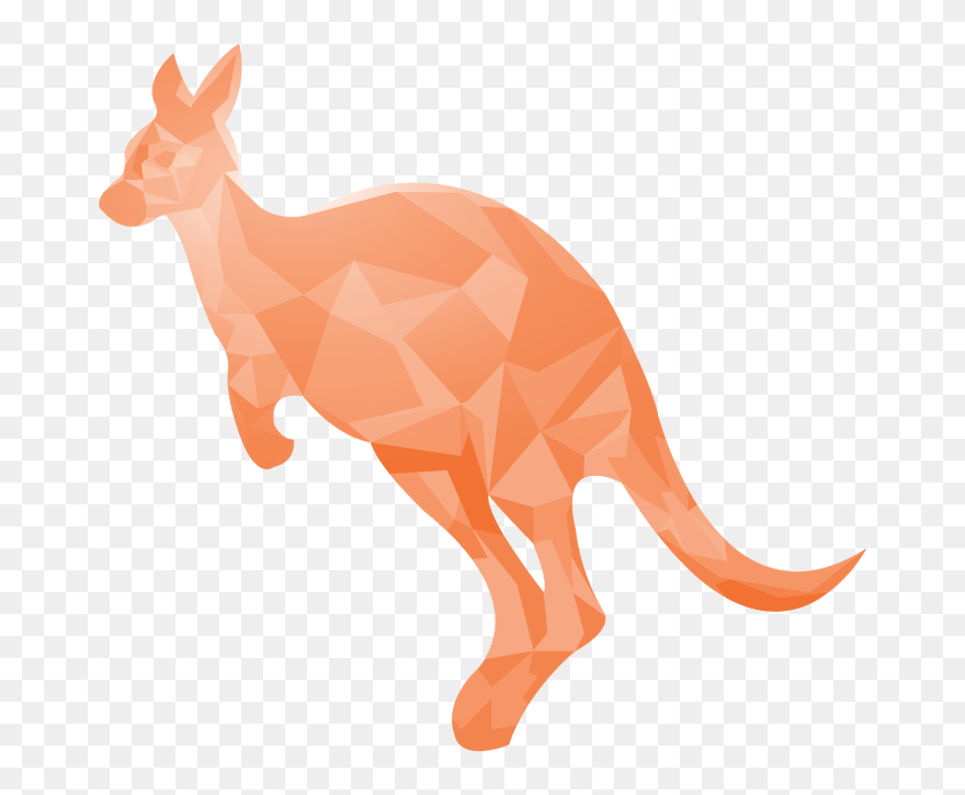 Charlotte Marini Re Illustrator - Kangaroo Clipart