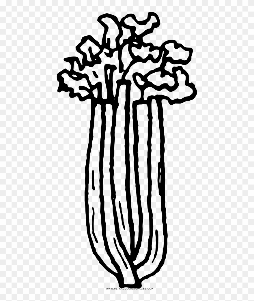 Celery Coloring Page - Apio Para Colorear Clipart