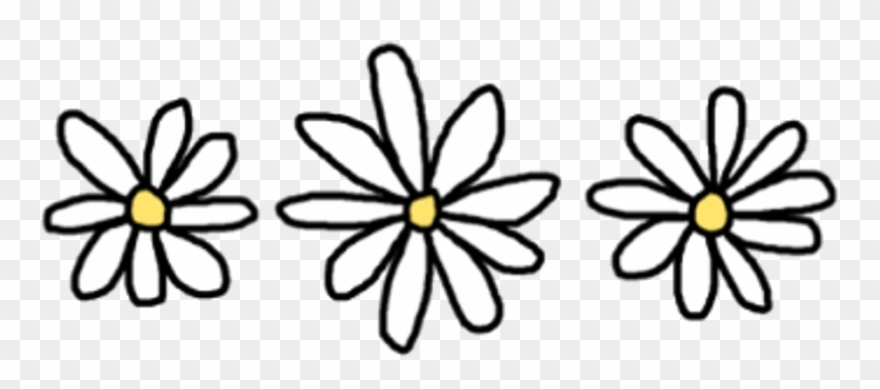 Flower Drawing Png Tumblr - Daisy Drawing Transparent Clipart
