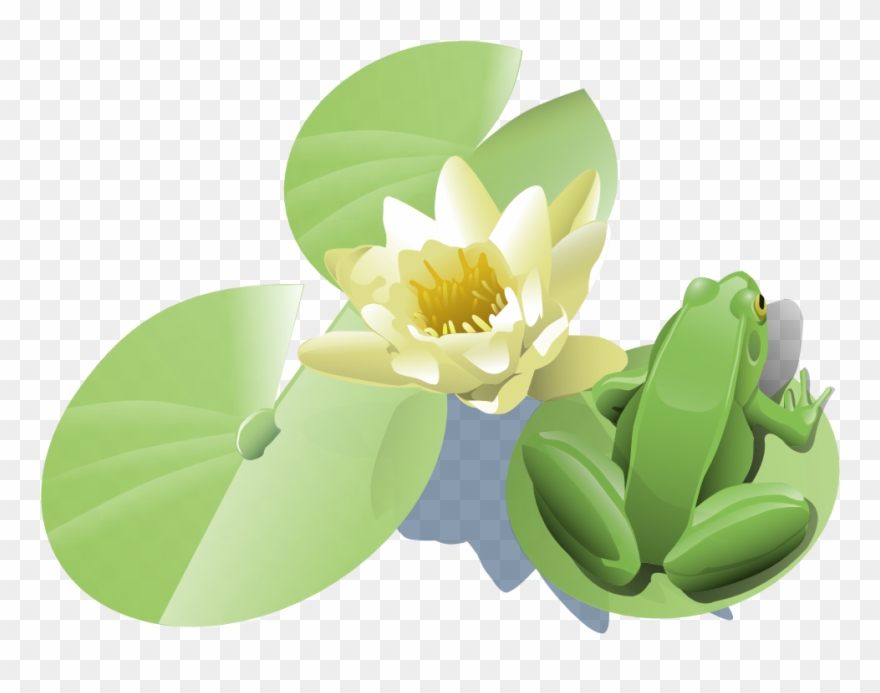 Onlinelabels Clip Art - Lily Pad Clip Art - Png Download