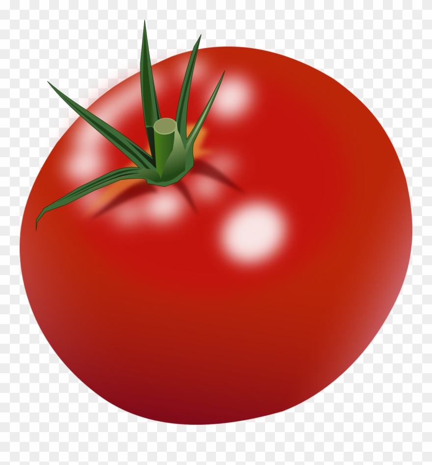 Tomato Clipart Png Black And White Download - Tomato Clip Art Png Transparent Png