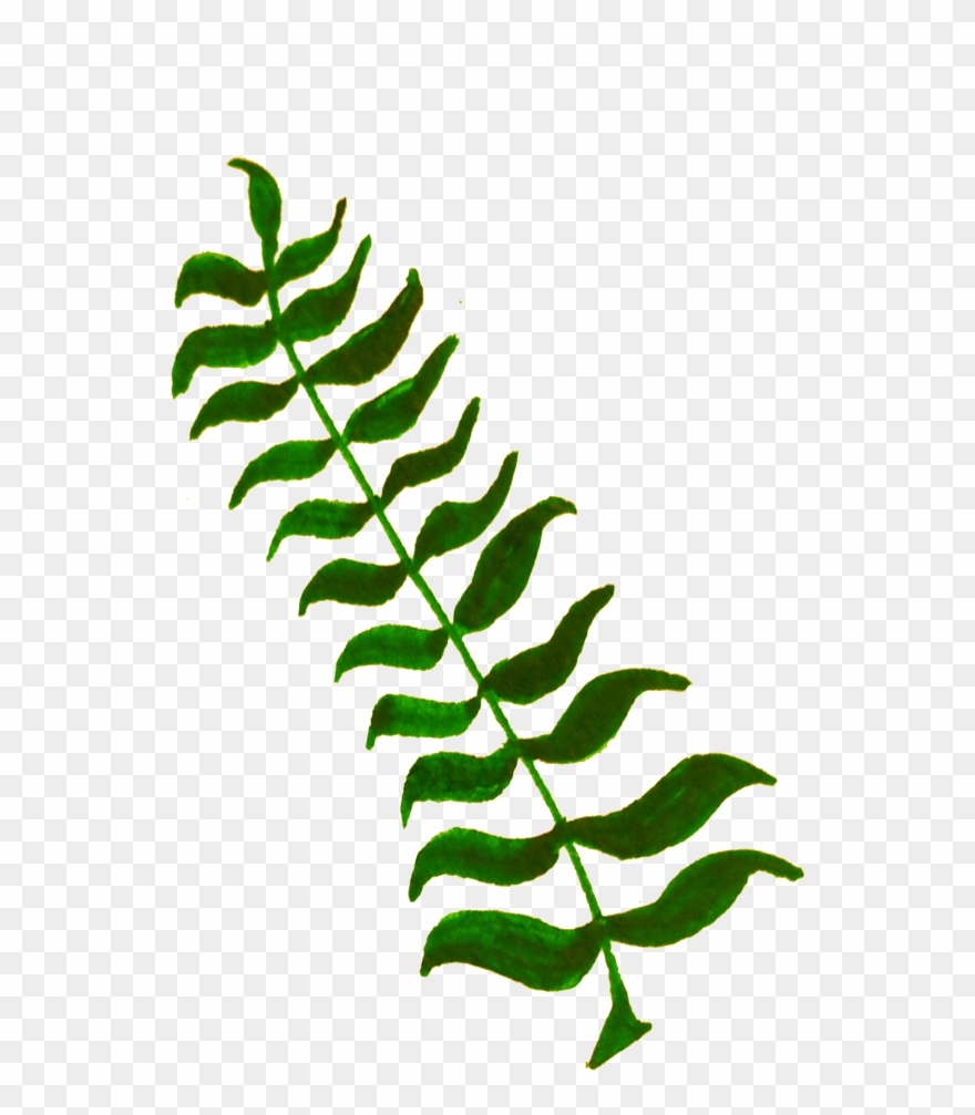 Onlinelabels Clip Art - Leaves And Twigs Png Transparent Png