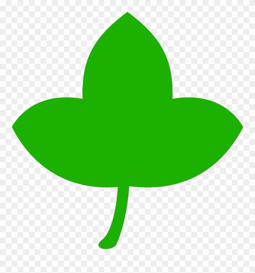 Leaf Plant Tree Fern Clip Art - Yaprak Simge - Png Download