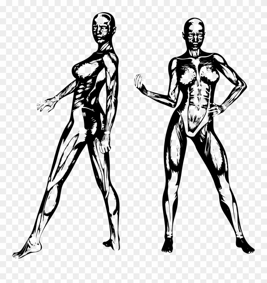 Big Image - Illustration Clipart