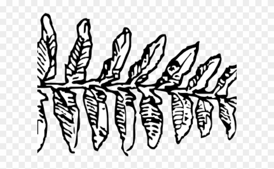 Fern Clipart Svg - Fern Leaves Pillow Case - Png Download