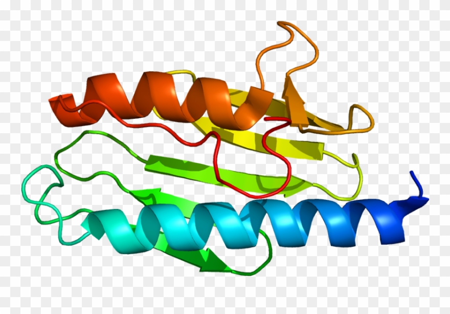 Friedreich's Ataxia Genetics Clipart