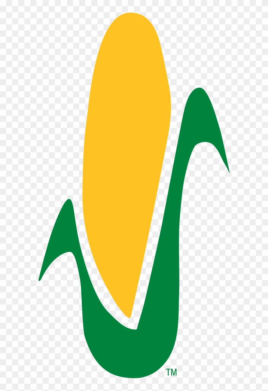 Corn Stalk Coloring Page - Color Clipart