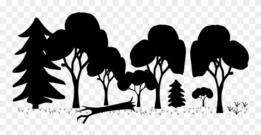 Open - Mixed Forest Png Clipart