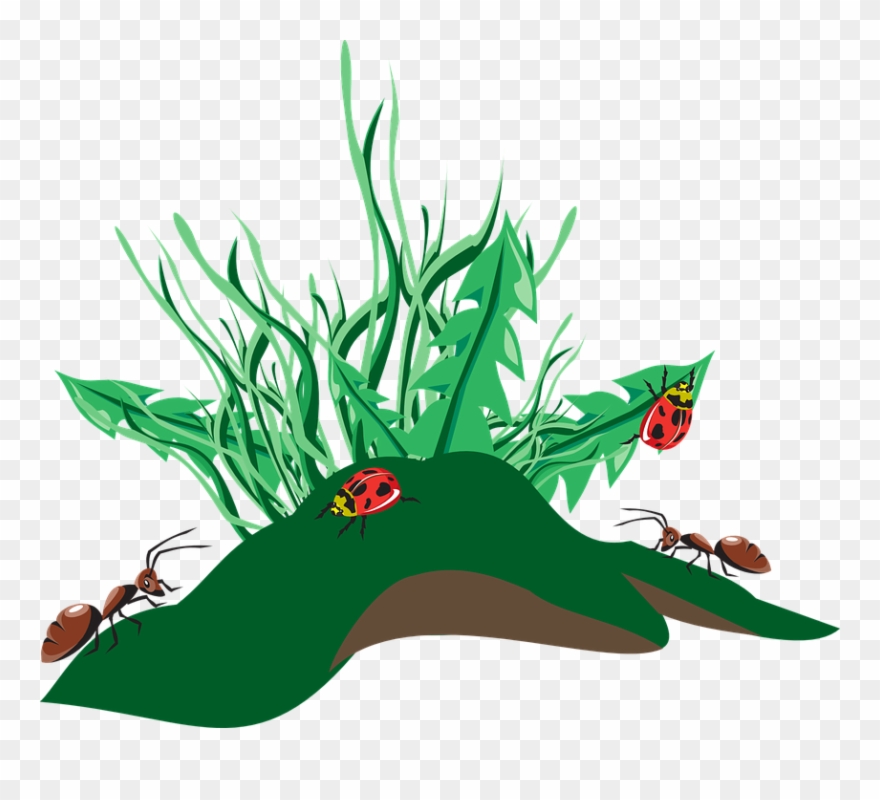 Free Grass Cliparts - Ants Clip Art - Png Download