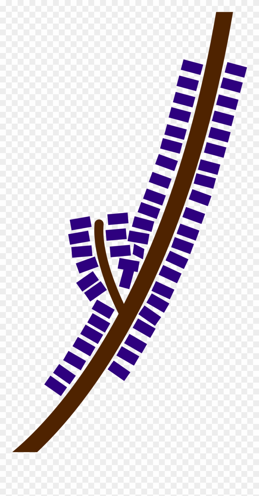 Greenacres Private High School Meyerton Clipart